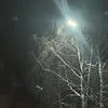 Эмбер Нель