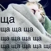 Рутеня