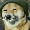 KoIIega