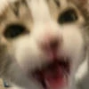 qqwrtty