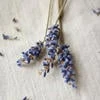 Lavender_Tea