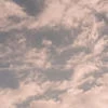Niky_250