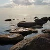 Скобарка Светлана Новолоцкая