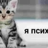 Та самая которая везде