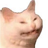 Satooi