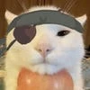 Жирный_котя