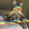 Miketani