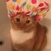 Плов с Волтаром