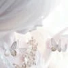MasU_MooN