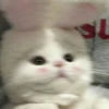 luwtyme