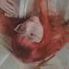 Alleksaa
