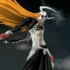 RavenZorro