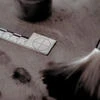 последний шаг к смерти