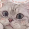 Justsomebody.dont.mention