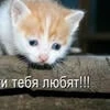 absentmindie