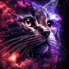 Gelexycat228