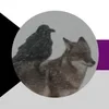 Kyctuk_152