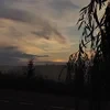 Котик_09