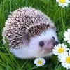 Hannah_Smith_03