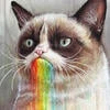 Grumpy let