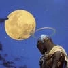 Странник Дунэдайн