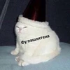 Гошка на кефире