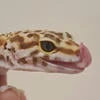 ElizzzB