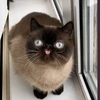 Песчаная сказка