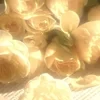 Настя_0509