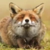 GiveMeKiss