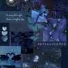 Butterfly-3-