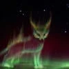foxlights