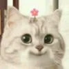 Tea_glot