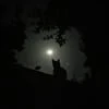 moon.lun