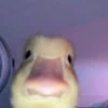 They_ppp0