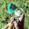 xeverx