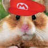 Luiziw