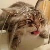fluffyscary
