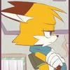 Fox of your dreams