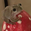 Fly_agaric_