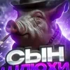 Kaktus_sin_shluhi