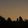 VikuscoooO