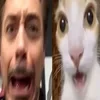 PATATYU