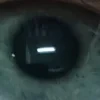 Господин Надстрочный Змий