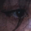 nesseida