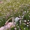 romantism