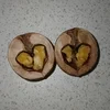 Трея Одинсон-Паркер-Лайфесон