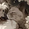 Mizuki_offikall
