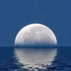 StrangerStar_