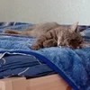 Вход в кроличью нору